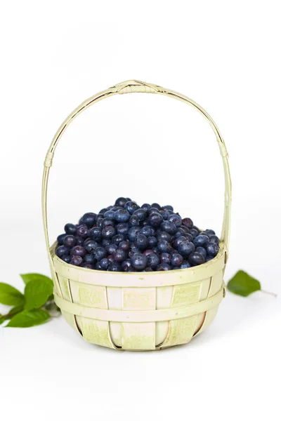 Blueberries — Stock Photo, Image