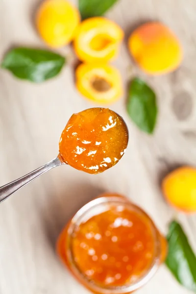 Marillenmarmelade — Stockfoto