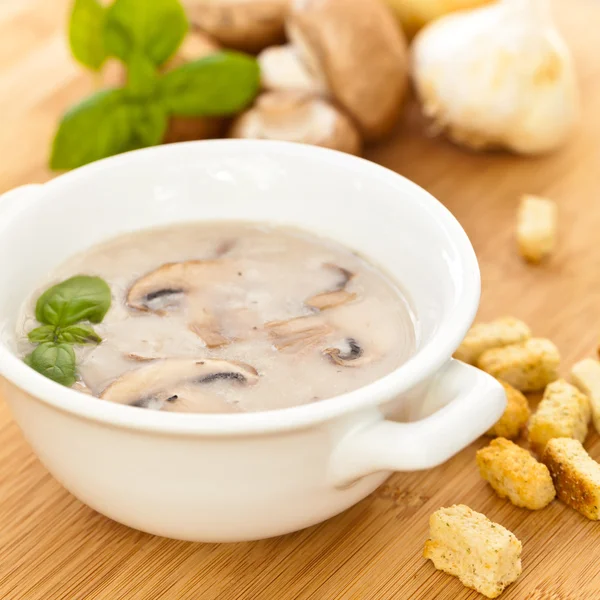 Soupe à la crème aux champignons — Photo