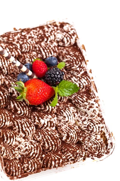 Gâteau Tiramisu fait maison — Photo