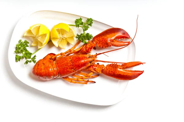 Homard bouilli — Photo