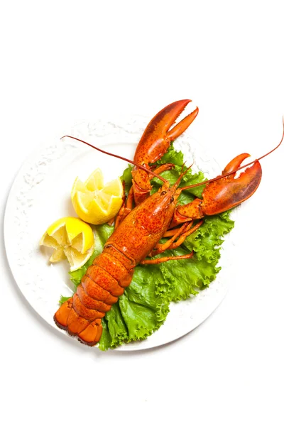 Boiled Lobster — Stock Photo, Image