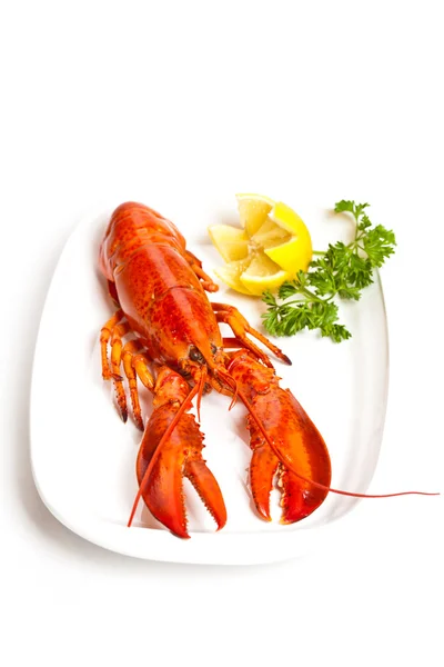 Boiled Lobster Stock Image