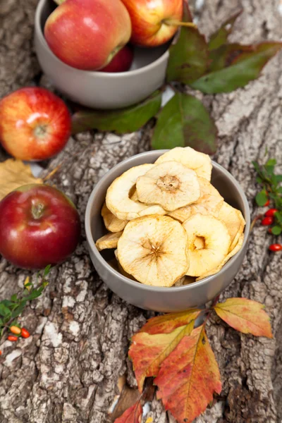 Manzanas secas —  Fotos de Stock