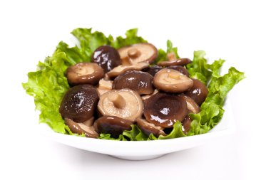 Bütün shitake mantarlar