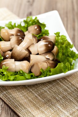 Asya bütün saman mantar