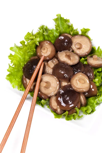 Cogumelos Shitake inteiros — Fotografia de Stock