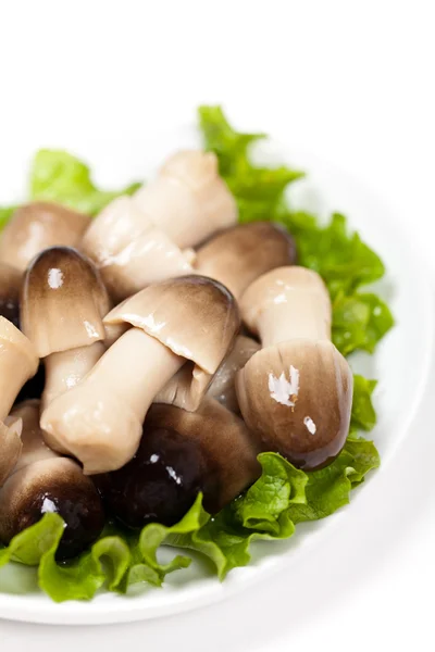 Asia Whole Straw Mushrooms — Stock Photo, Image