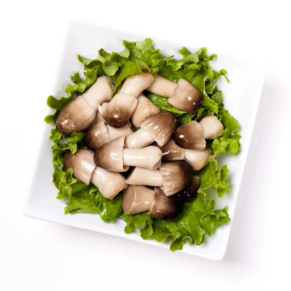 Straw mushroom — Stock Photo, Image