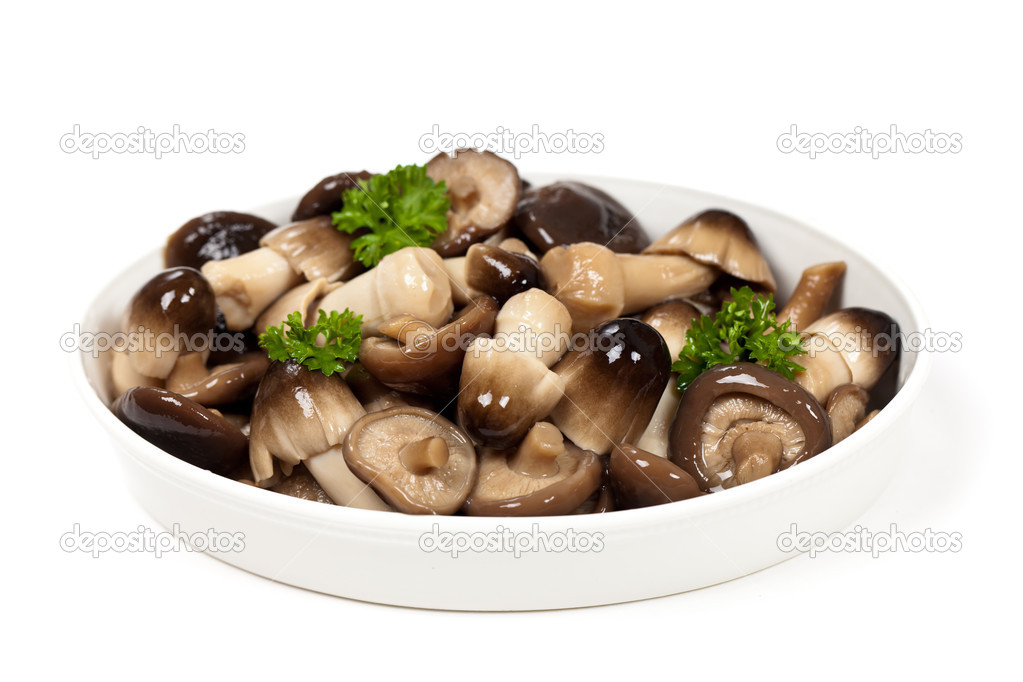Asia Mushrooms