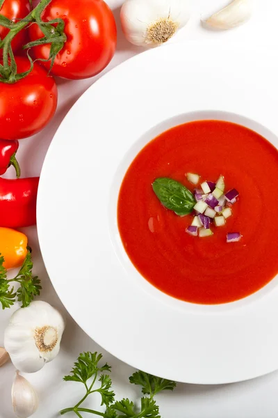 Frische Tomatensuppe — Stockfoto