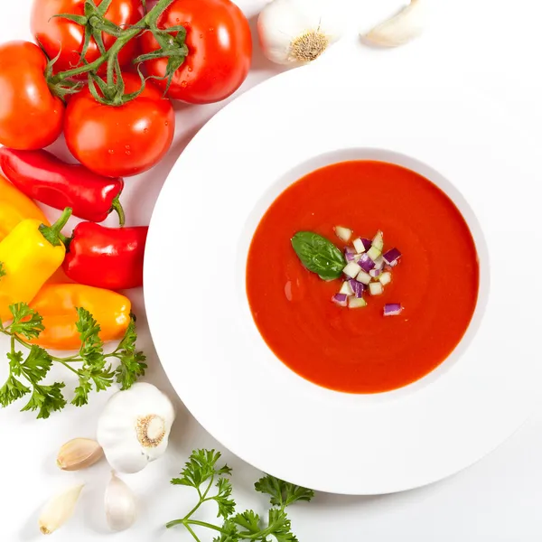 Frische Tomatensuppe — Stockfoto