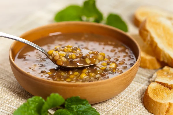 レンズ豆のスープ — ストック写真