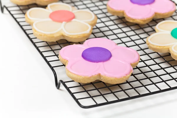 Sugar cookies shaped like flowers — Stock Photo, Image