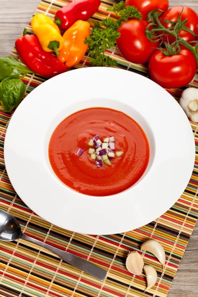 新鲜番茄汤 — 图库照片