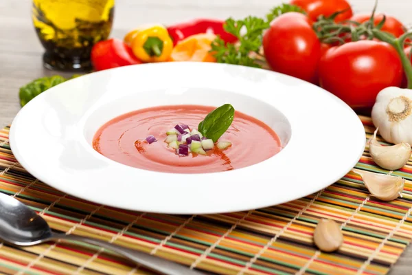 Frische Tomatensuppe — Stockfoto