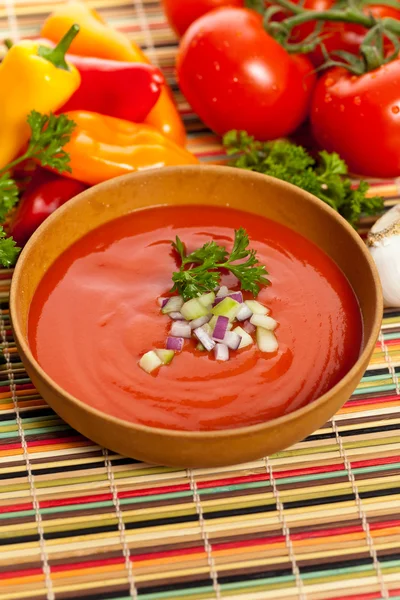 Sopa de tomate fresco — Foto de Stock