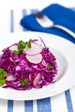 kırmızı lahana salatası