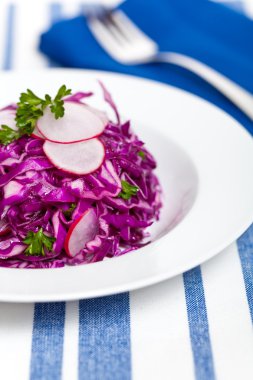 kırmızı lahana salatası