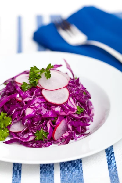 Red Cabbage Salad — Stock Photo, Image