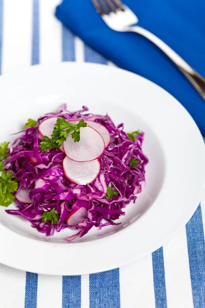 Red Cabbage Salad — Stock Photo, Image