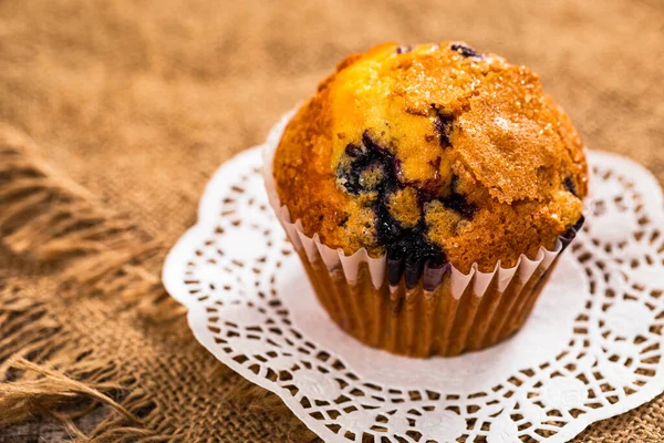 Homemade Fresh Blueberry Muffin Selective Focus — Stock Photo, Image