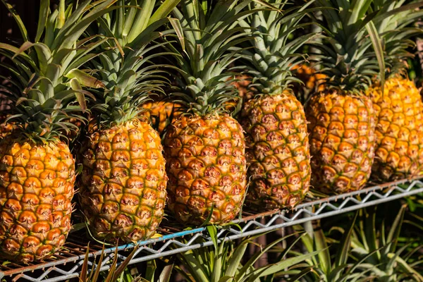 Pineapples Shelves Market Ready Sale Local Market Selective Focus — Stock Photo, Image