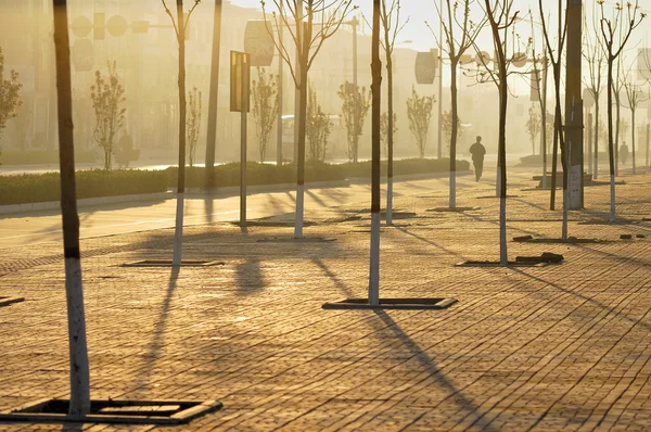 sabah ışık parlayan sokak