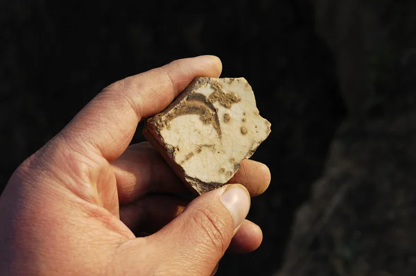 Archäologie lizenzfreie Stockbilder