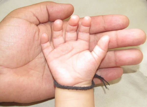 Mano del bebé en la mano joven Imagen De Stock