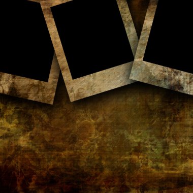 Polaroid koleksiyonu