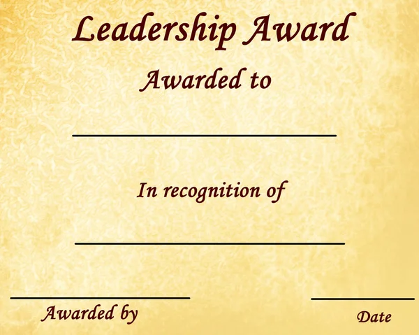 Leadership award — Stock fotografie