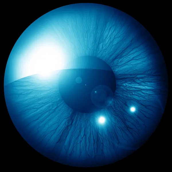 Human iris — Stock Photo, Image