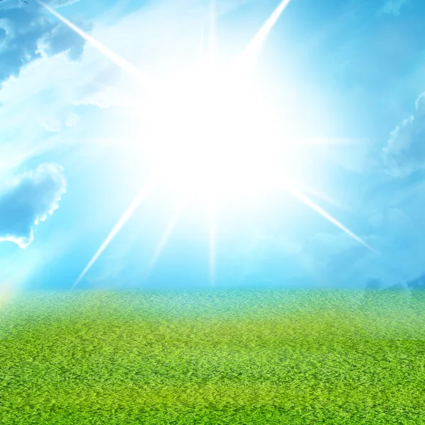 Green grass and blue sky — Stock Photo, Image