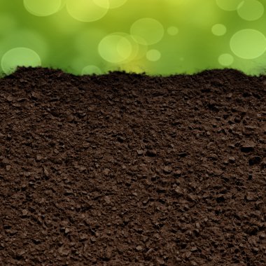 grass and soil clipart
