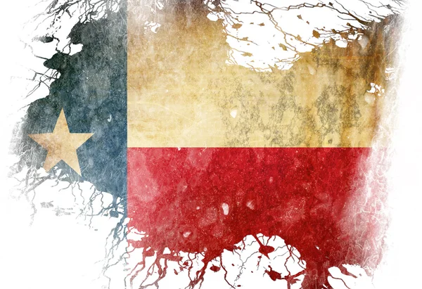 Texasan vlajka — Stock fotografie