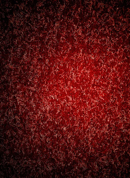 Красная дорожка — стоковое фото