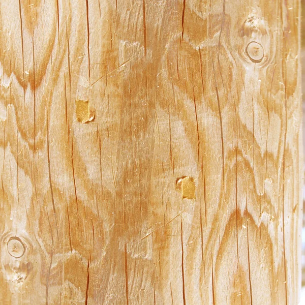 Wood texture — Stock Photo, Image