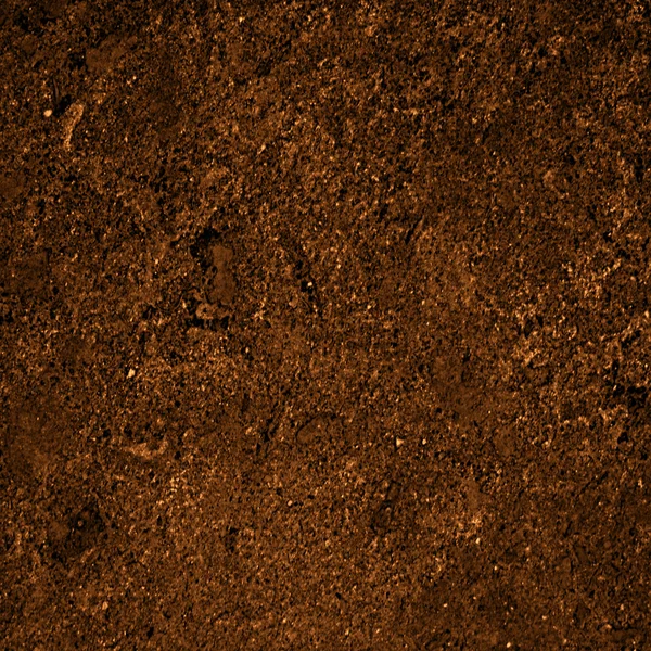 土土の質 — ストック写真