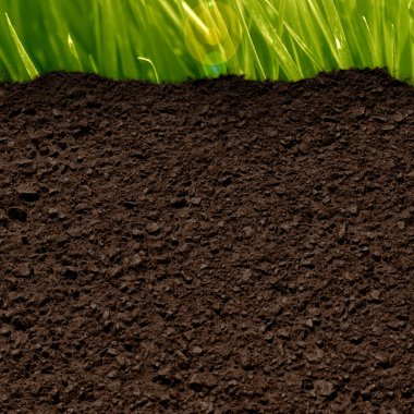 grass and soil clipart