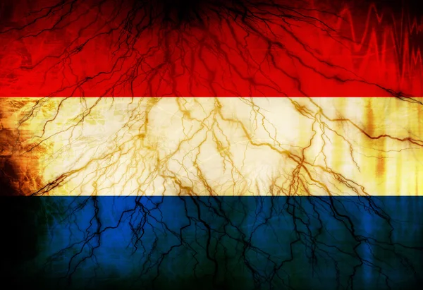 Hollanda Bayrağı — Stok fotoğraf