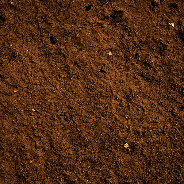 Soil Dirt Texture — Stock Photo © Ellandar 30695227