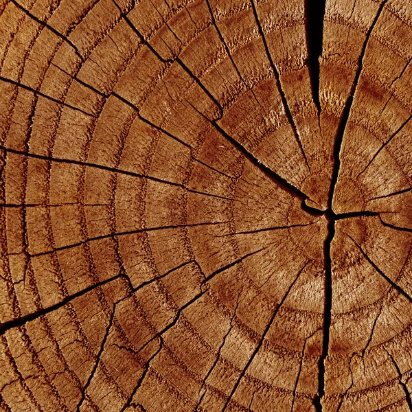 Textura de madeira — Fotografia de Stock