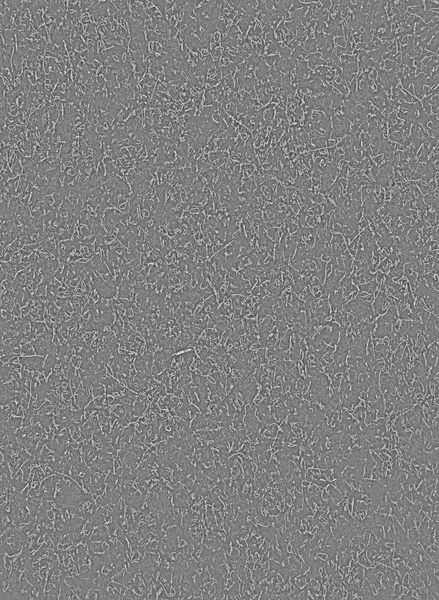Tappeto grigio — Foto Stock