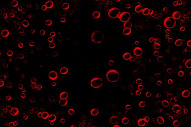 Kırmızı Kan Hücreleri