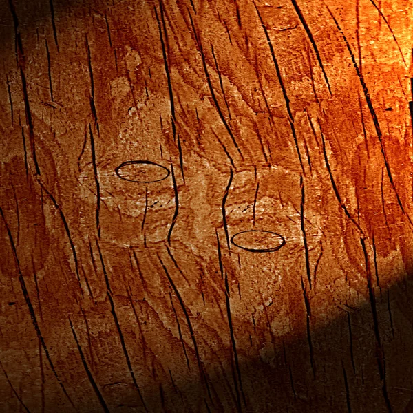 Textura madera — Foto de Stock