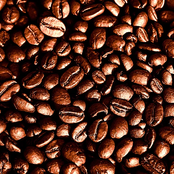 Koffiebonen — Stockfoto