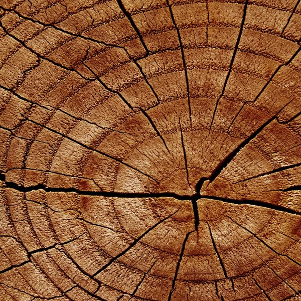 Textura de madeira — Fotografia de Stock