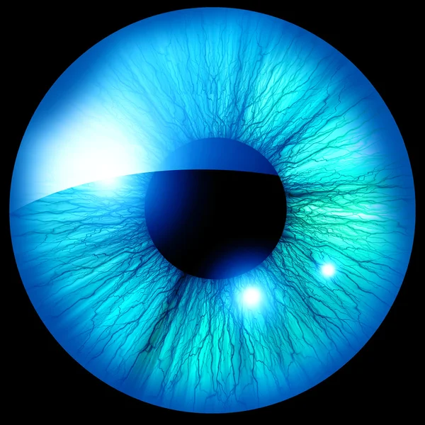 Human iris — Stock Photo, Image