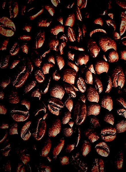 Grains de café — Photo